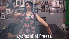 Lydias Mini Freeze 06