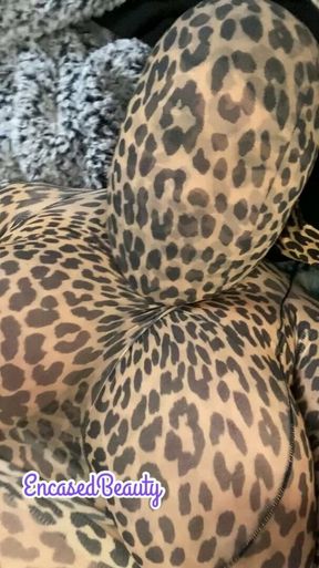 Leopard Pantyhose Encasement