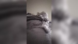 Roadkill! Visits you for Valentines day