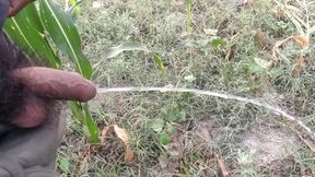Indian Boy Pissing in Morning
