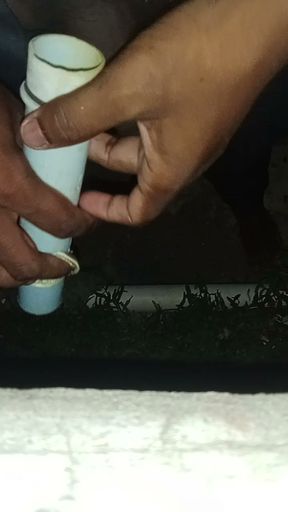 Mastrubation