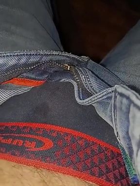 Dick in Pant