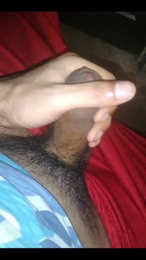 A Day Pulling a Goose