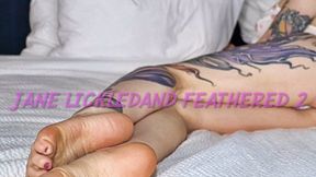 Jane Lickled and Feathered 2