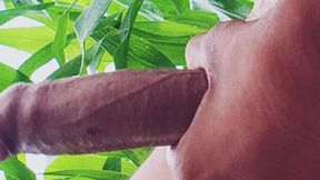 Worldwide Trending Desi Hunk Solo Action Part 8 - Premium Faceless Amateur Close-up Intense Stroking Session 4K