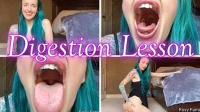 Digestion Lesson mp4