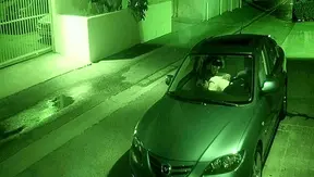 Backseat Blowjob Heat: Wild Gay Hookup Ignites Passion – XXX