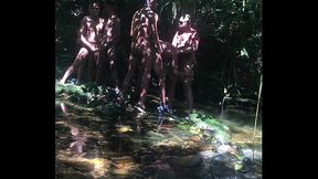 orgy bareback interracial in the florest
