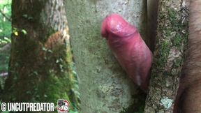 Masturbation outside with a tree and big cumshot no hands