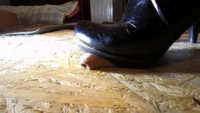 polllive - update #1 - trampling cocos 4 - jan 08, 2026