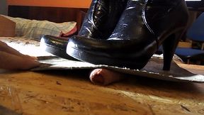 polllive - update #1 - trampling cocos 4 - jan 08, 2026