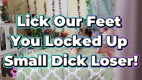 lick our feet you locked up spying small dick loser!