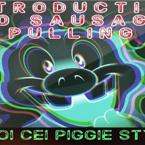 AUDIO ONLY - Introduction to sausage pulling JOI CEI piggie style