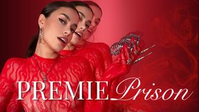 Premie Prison
