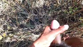 Desi Indian Sex Jungle Fucking Xxx Video
