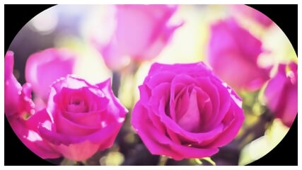 Peaceful  Instrumental relaxing Music