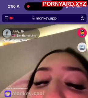 Monkey App