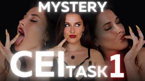 Mystery CEI Task 1