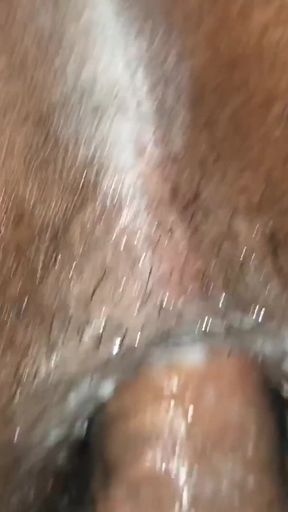 Black Breeders Adventures 15