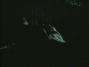 Night Prowlers