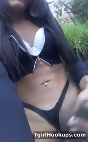 tranny newbie rod 172