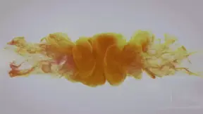 Oriental Streams by Wet And Pissy