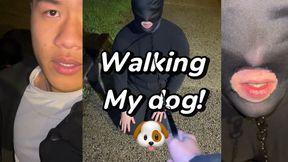 Walking my slave as a dog