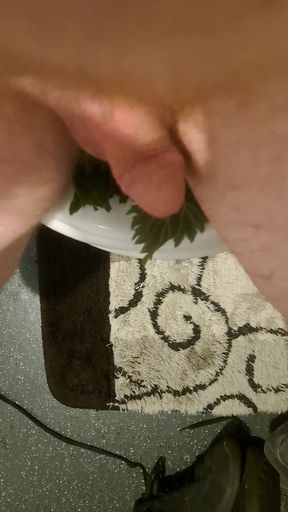 My first sounding with stinging nettles