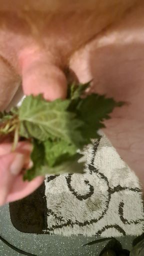 My first sounding with stinging nettles