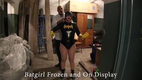 Batgirl Frozen solid and on display 2
