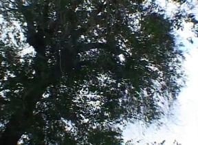 Stockinged blonde milf with big boobs gets ass fucked outdoors