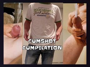 BIG COCK CUMSHOT CUMPILATION