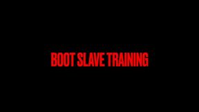 Boot Slave Training