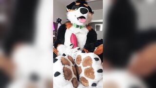@AngryBarks self sucking his additional phat man sausage