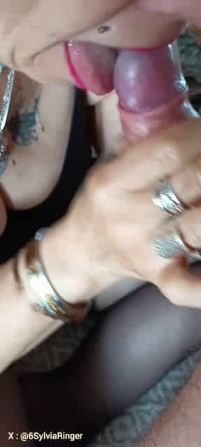 Sylvia Ringer : cum swallows