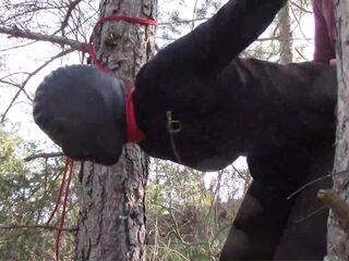 Bound up to a tree outdoor on hawt garments, wearing hose and high ankle boots heels, coarse screw