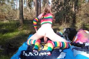 Rainbow Woods