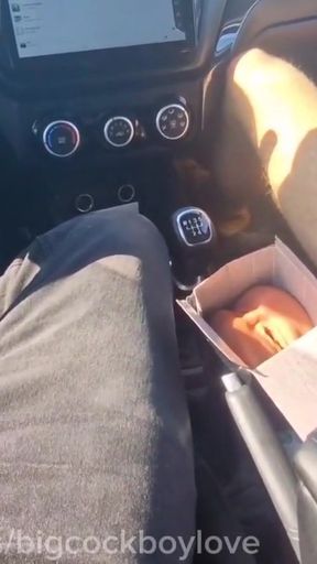 There was a cunt lying on the road, and we fucked it rough and threw it away. We'll fuck your holes too   Clip 1