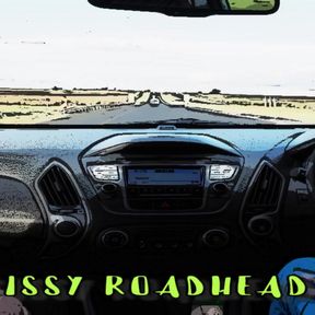 AUDIO ONLY - Brandy the homo shemale breaks in a sissy road-head style