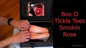 Box O Tickle Toes Smokin Rose - Queer Tickling in Foot Tickling Stocks MOBILE