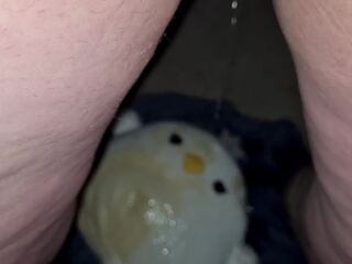 Morning urinate on my toy to inactive to go to biffy