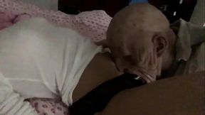 Revange of the devil