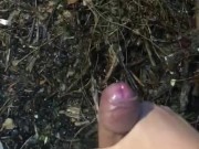 My phimosis penis masturbation by hand in the rainy garden.  The tip of the penis is red