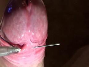 Amazing ultra close-up needle my penis