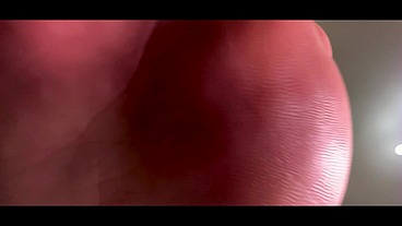The Miniaturized Admirer(POV)