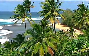 Island fever