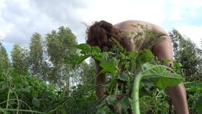Nudist Garden: Working Naked in the Field