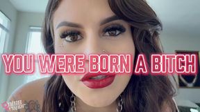 You Were Born A Bitch! Ft Miss Roper