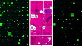 amay rose apathy fucking