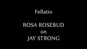 Fellatio! Rosa Rosebud Blows Jay Strong's BBC